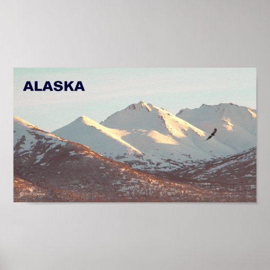 Winter Eagle Poster (Voorkant)