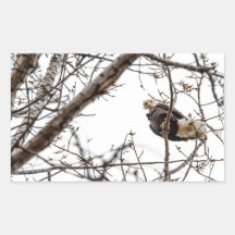 Winter Eagle Sticker