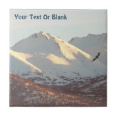 Winter Eagle Tegeltje (Voorkant)