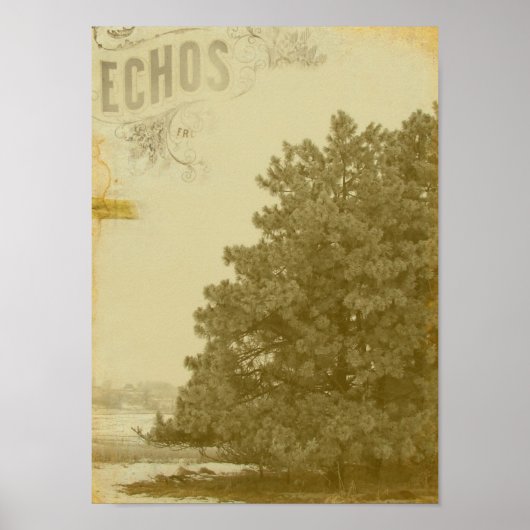 Winter Echos Poster (Voorkant)