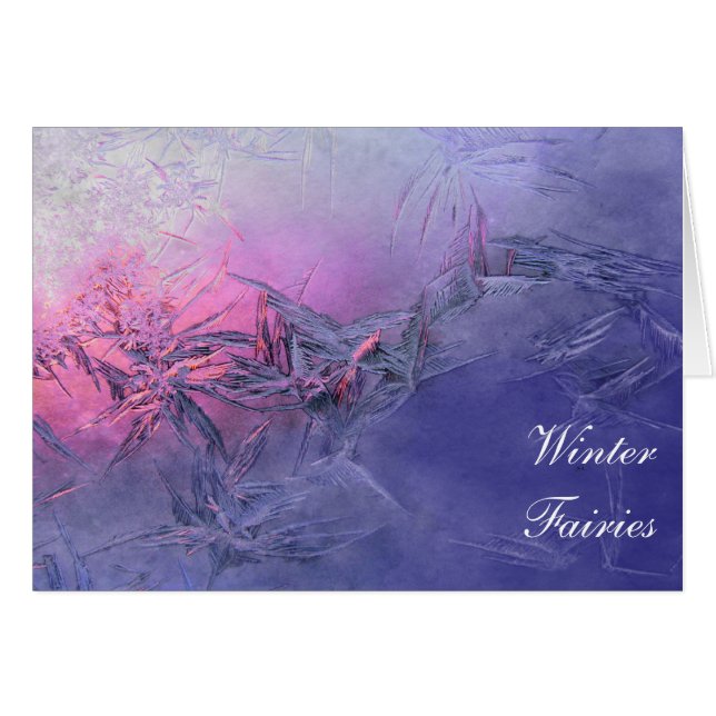 Winter Fairies (Voorkant Horizontaal)