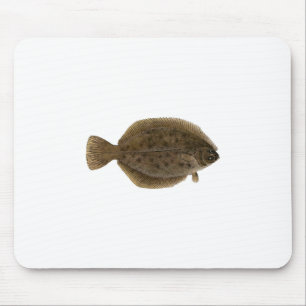Winter Flounder - Blackback Muismat