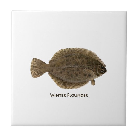 Winter Flounder Tegeltje (Voorkant)