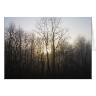 Winter Fog Sunrise Nature Photographie
