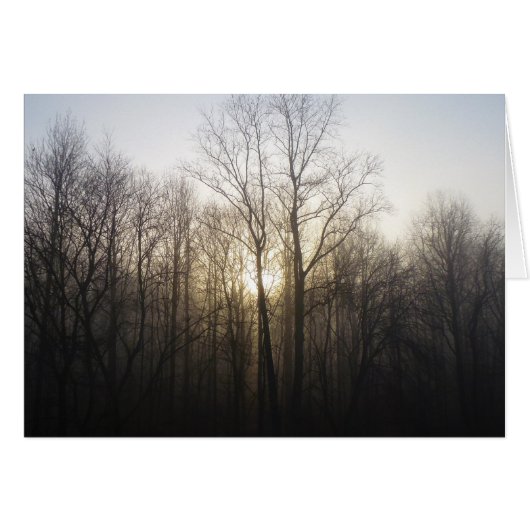 Winter Fog Sunrise Nature Photographie (Devant horizontal)