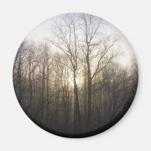 Winter Fog Sunrise Natuur Foto Magneet