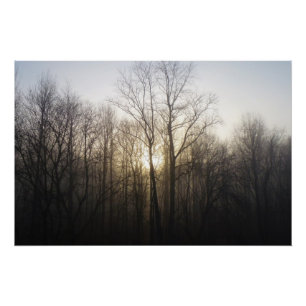 Winter Fog Sunrise Natuur Foto Perfect Poster
