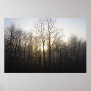 Winter Fog Sunrise Natuur Foto Poster
