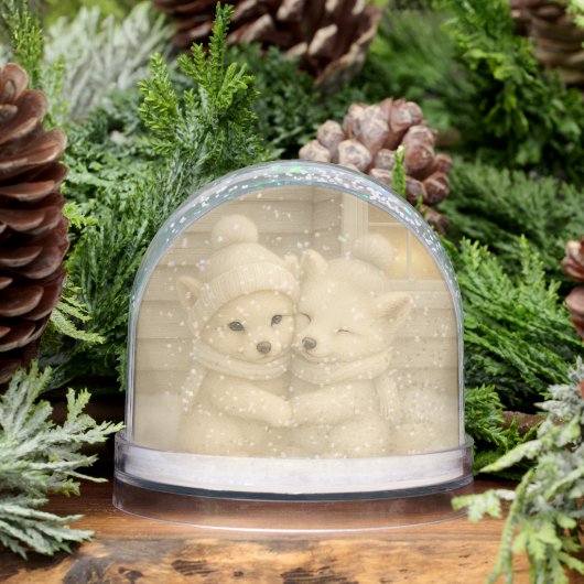 Winter Fox Couple in Cozy Knit Hats Snow Globe Sneeuwbol (Winter)