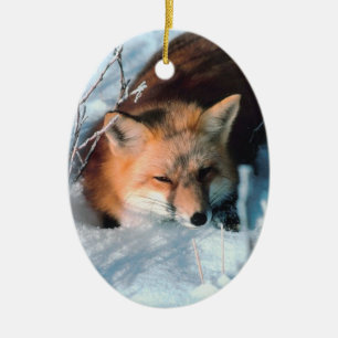 Winter Fox Faune Photo Ornement de Noël