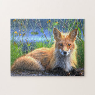 Winter Fox Quebec Canada. Legpuzzel