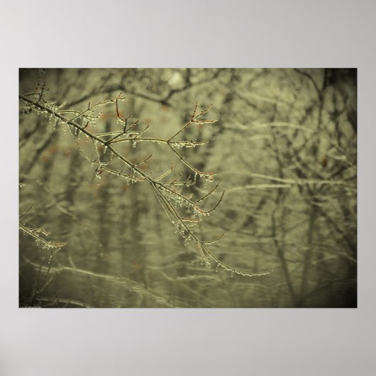 Winter Freeze Poster (Voorkant)