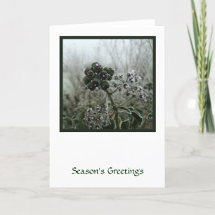 Winter Frost Holiday Kaart