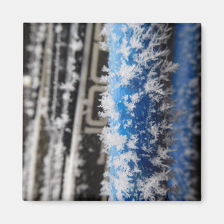 Winter Frost Magnet Magneet