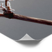 Winter Frosted branch Poster (Hoek)
