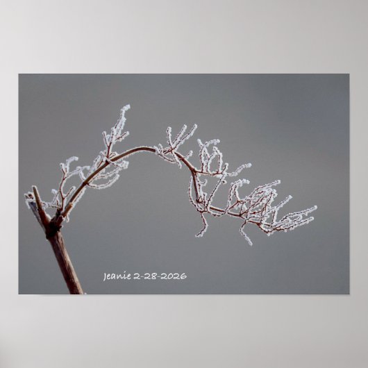 Winter Frosted branch Poster (Voorkant)