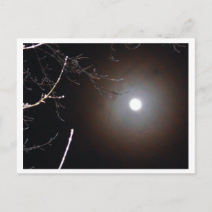 Winter Full Moon Briefkaart