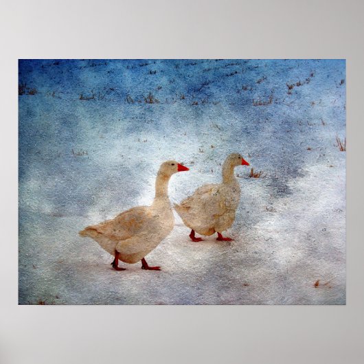 Winter Geese Poster (Voorkant)