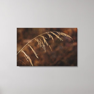 Winter Grass Canvas Afdruk