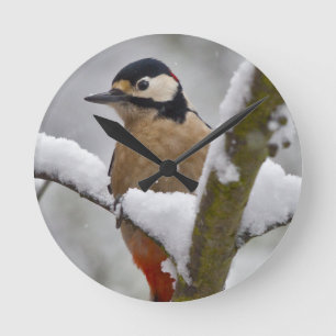 Winter Grote Bonte Specht Klok