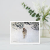 Winter Hare (Rabbit), Bruno Liljefors Briefkaart (Staand voorkant)