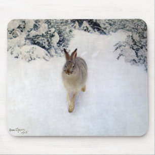 Winter Hare (Rabbit), Bruno Liljefors Muismat