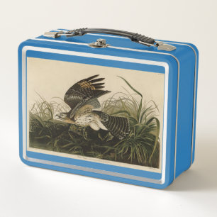 Winter Hawk, John James Audubon's Birds of America