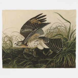 Winter Hawk, John James Audubon's Birds of America Fleece Deken