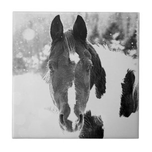 Winter Horse B&W Ceramic Tile Tegeltje