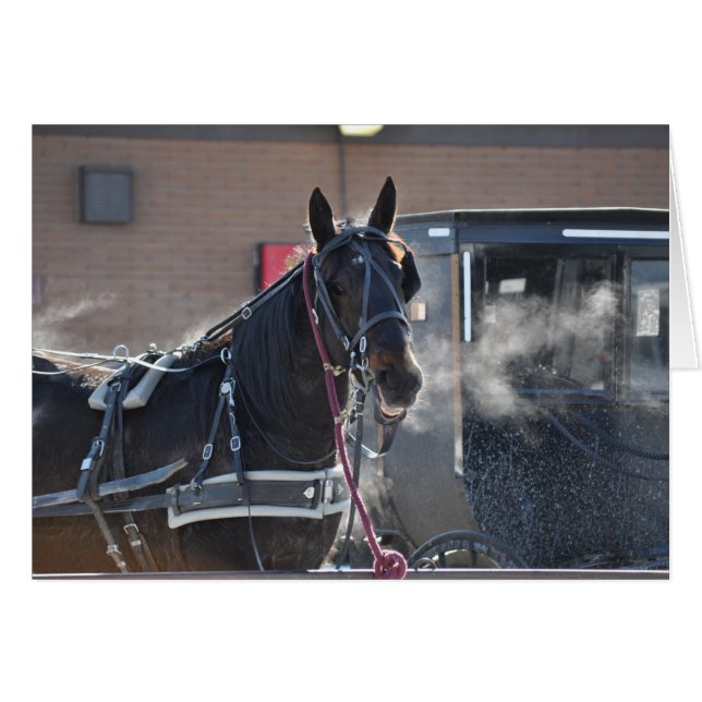 Winter Horse Hitch (Voorkant Horizontaal)