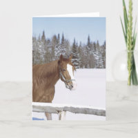 Winter Horse Snow Equine Xmas Holiday
