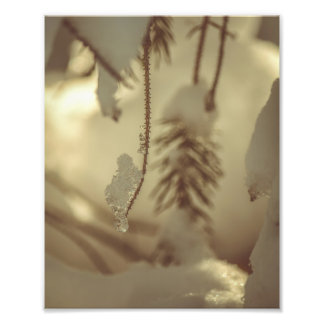 Winter Ijs en Sneeuw Boslandschap Fijne Kunst Foto Afdruk