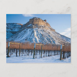 Winter in Colorado Wine Country Briefkaart