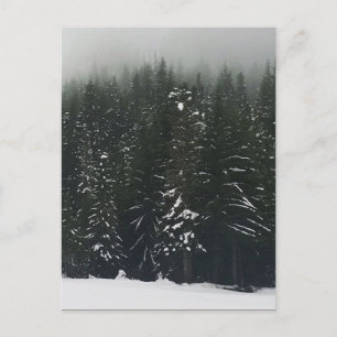 Winter in het bergbos, Oregon Briefkaart