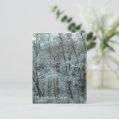 Winter in het staatsbos van Tillamook, Oregon Briefkaart (Staand voorkant)