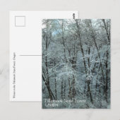 Winter in het staatsbos van Tillamook, Oregon Briefkaart (Voorkant / Achterkant)