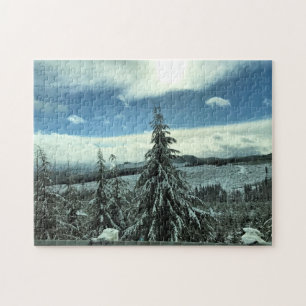 Winter in het staatsbos van Tillamook, Oregon Legpuzzel