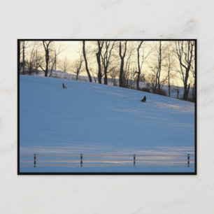 ~ Winter in Lancaster County ~ 6 Briefkaart
