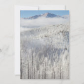 Winter in Pike National Forest Bedankkaart (Voorkant)