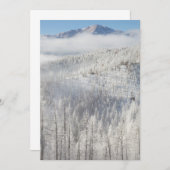 Winter in Pike National Forest Bedankkaart (Voorkant / Achterkant)