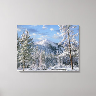 Winter in Yellowstone National Park, Wyoming Canvas Afdruk