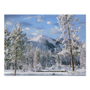 Winter in Yellowstone National Park, Wyoming Foto Afdruk