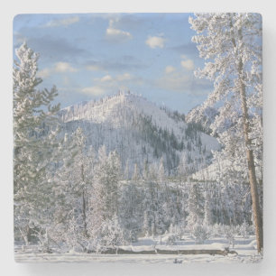 Winter in Yellowstone National Park Wyoming Stenen Onderzetter