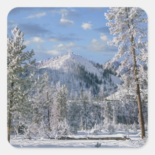 Winter in Yellowstone National Park, Wyoming Vierkante Sticker