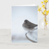 Winter Junco Kaart (Gele Bloem)