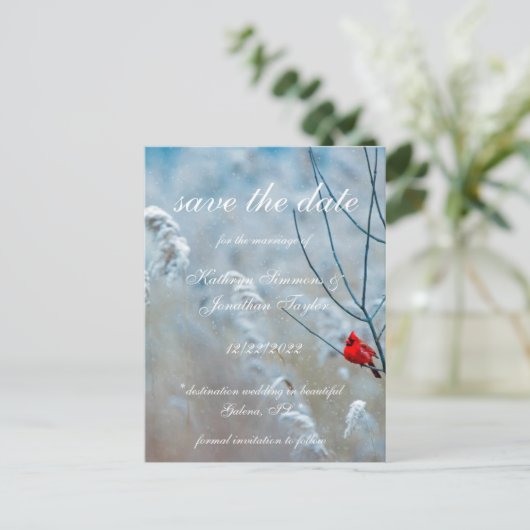 Winter Kardinaal behalve datum uitnodiging (Staand voorkant)