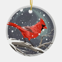 Winter Kardinaal