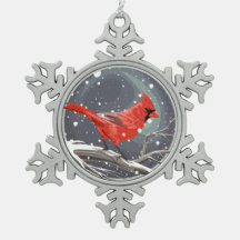 Winter Kardinaal