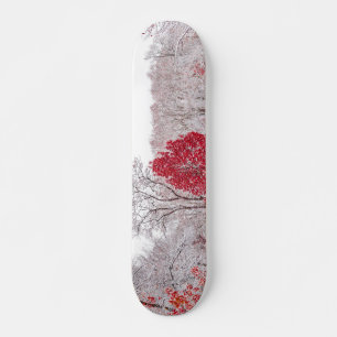 winter kerstmis 89 skateboard