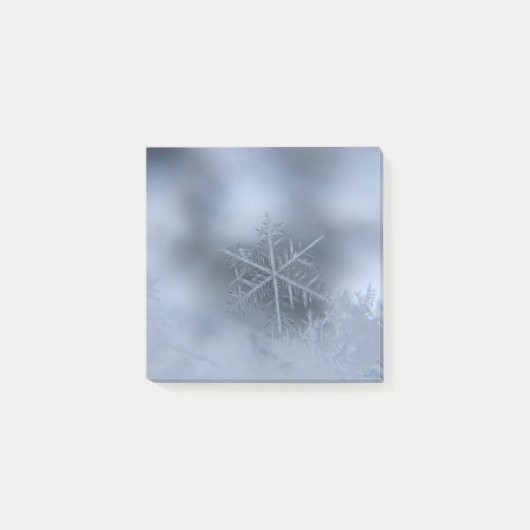 winter kerstmis 97 post-it® notes (Voorkant)
